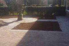 WhatsApp-Image-2025-08-17-at-21.33.42-scaled