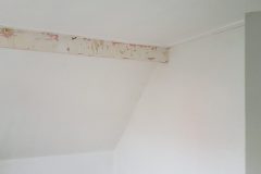 WhatsApp-Image-2025-08-17-at-21.33.46-scaled